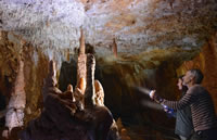 Grotte Forestière