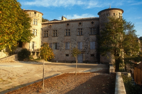 Chateau de Vogüè
